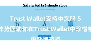 Trust Wallet支持中文吗 5个阵势匡助你在Trust Wallet中珍惜被盗