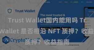 Trust Wallet国内能用吗 Trust Wallet 是否相沿 NFT 质押？收益指南