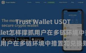 Trust Wallet USDT存储 Trust Wallet怎样撑抓用户在多链环境中措置和兑换财富？